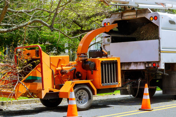 Best Stump Grinding and Removal  in Pleasant Hill, IA
